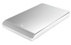 HDD Seagate FreeAgent Go 320GB, silver, externí, USB 2.0, 2,5