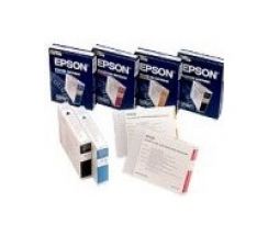 Cartridge Epson 2100 Light Black