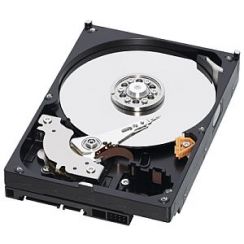 HDD WD 3,5