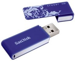 Flash USB Sandisk Cruzer Pattern 2GB