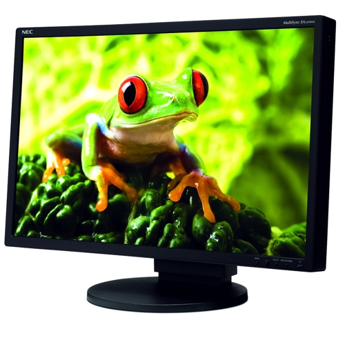 Monitor NEC EA191M