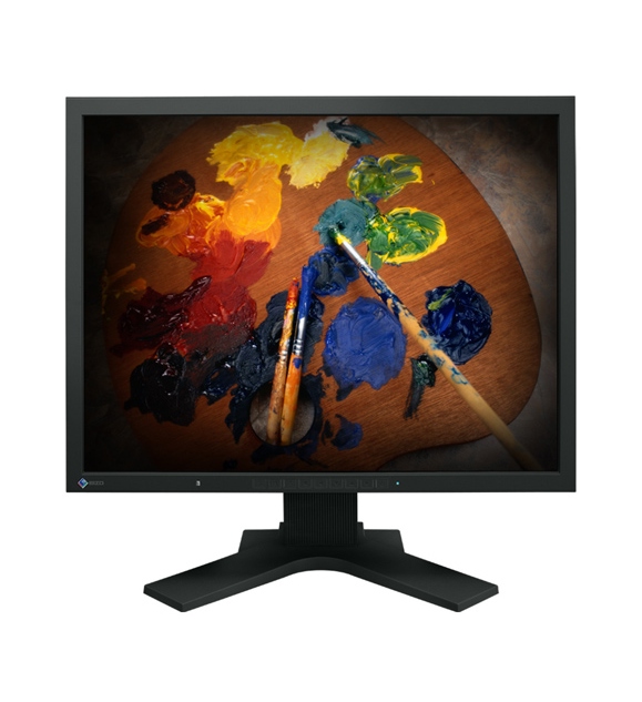 Monitor EIZO FlexScan S2100