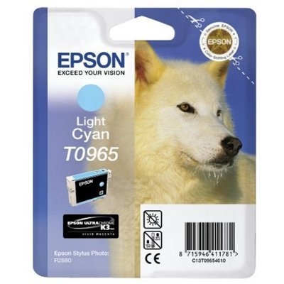 Cartridge Epson R2880 - Light Cyan withRF Tag