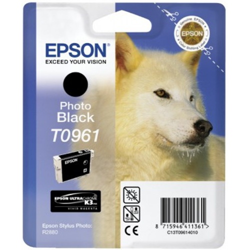 Cartridge Epson R2880 - Photo Black