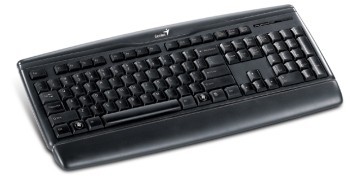 Klávesnice Genius KB-120/ Drátová/ PS/ černá