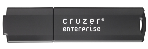 Flash USB Sandisk Cruzer Enterprise 2GB