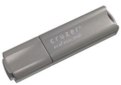 Flash USB Sandisk Cruzer Professional 2GB