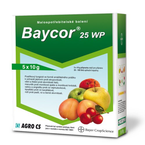Fungicid Agro Baycor 25 WP - 5x10 g