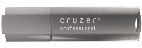 Flash USB Sandisk Cruzer Professional 1GB